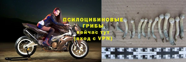 тгк Семикаракорск