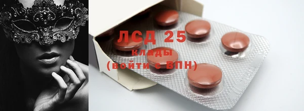 молекула духа Снежногорск