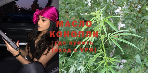 молекула духа Снежногорск