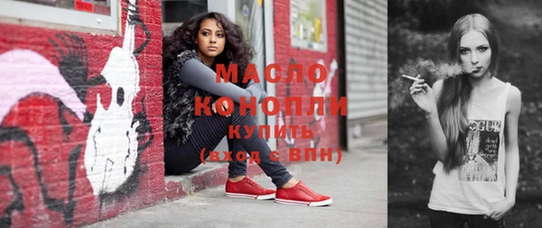 молекула духа Снежногорск